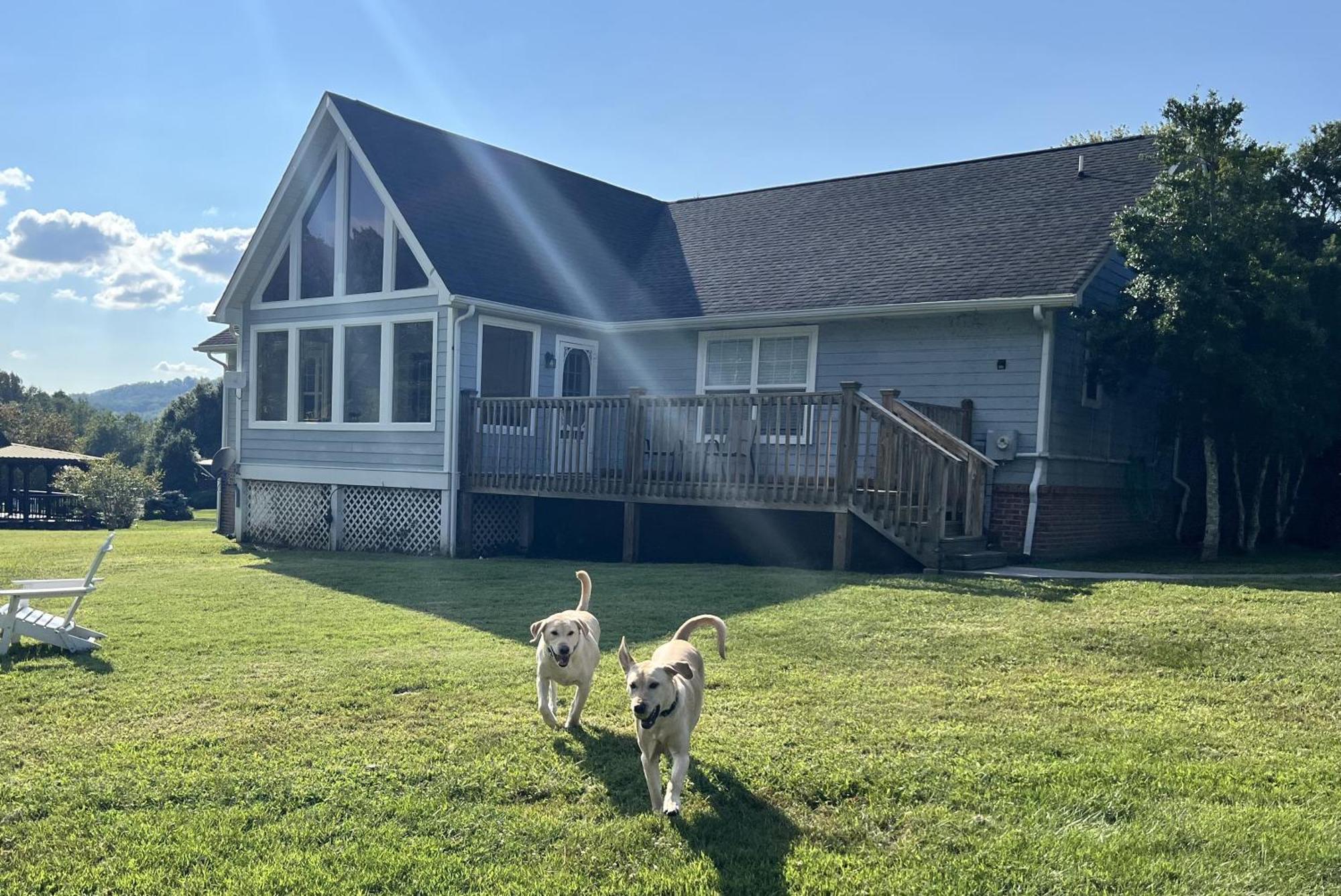 Bears Valley Inn - Great Location! - Peaceful, Children And Dog Friendly Retreat - Less Than 15 Min To All Attractions - Private Pool Club & Fishing Hole - Game Room With Tv Sevierville Kültér fotó